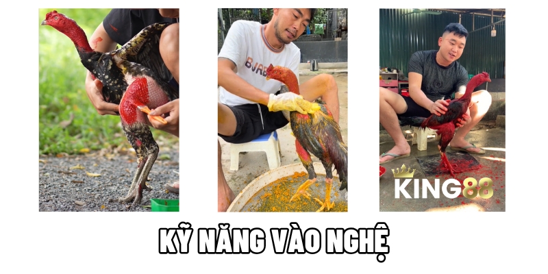 ky nang vao nghe king88 1